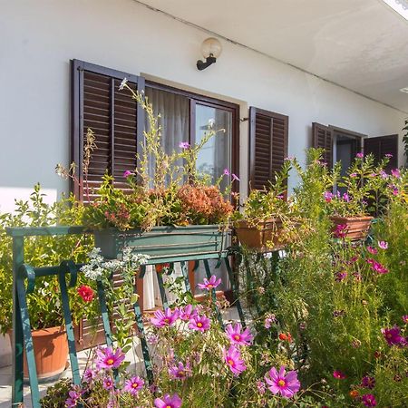 Apartment Vinka Trogir Ngoại thất bức ảnh